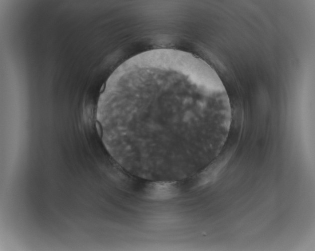 X0000111820093200908201139