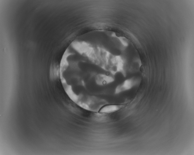 X0000111820095200908201139