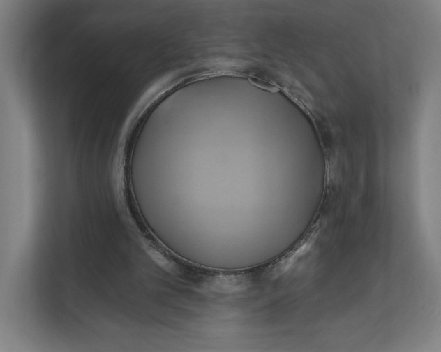 X0000111820101200908201139