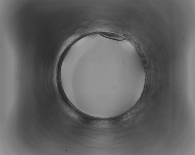 X0000111820104200908201139