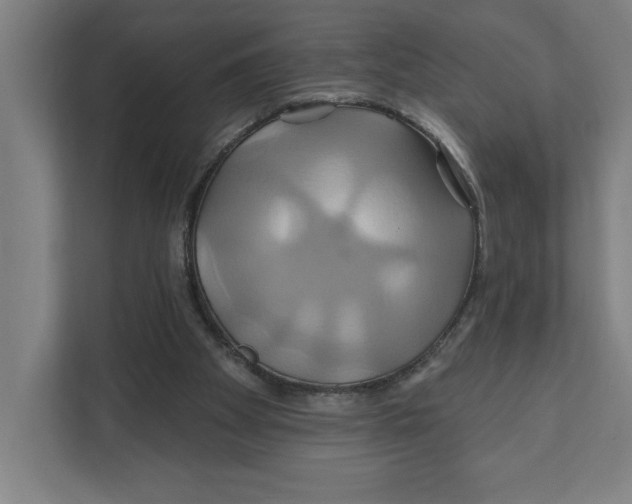 X0000111820105200908201139