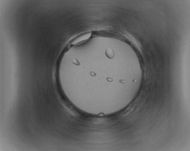 X0000111820107200908201139