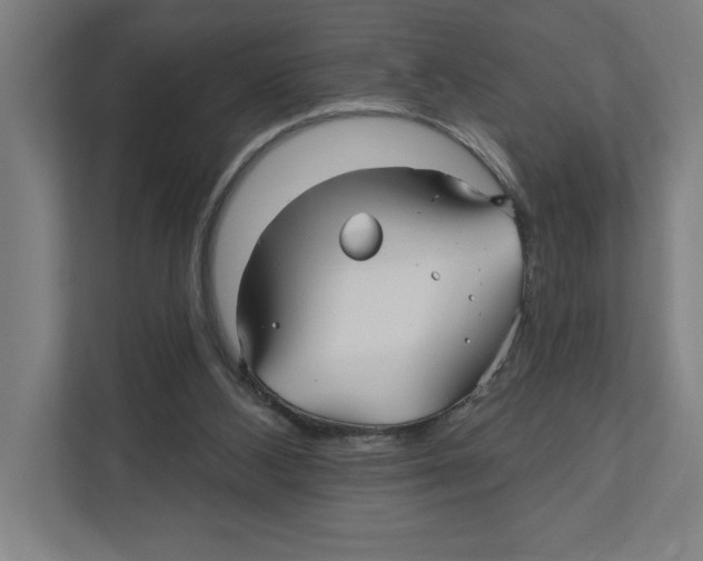 X0000111820108200908201139
