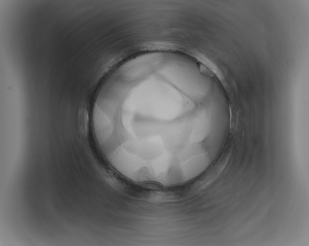 X0000111820109200908201139
