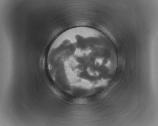 X0000111820110200908201138