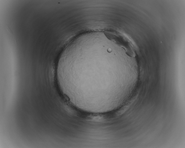 X0000111820113200908201138
