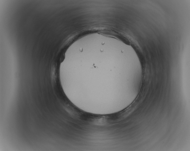 X0000111820116200908201138