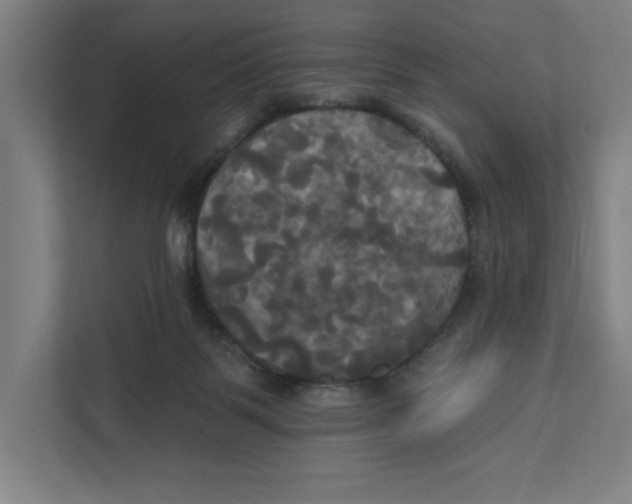 X0000111820123200908201138