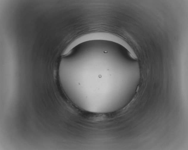 X0000111820124200908201138