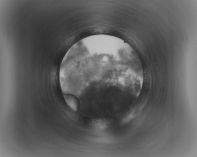X0000111820127200908201138