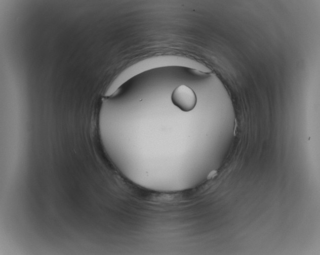 X0000111820129200908201138