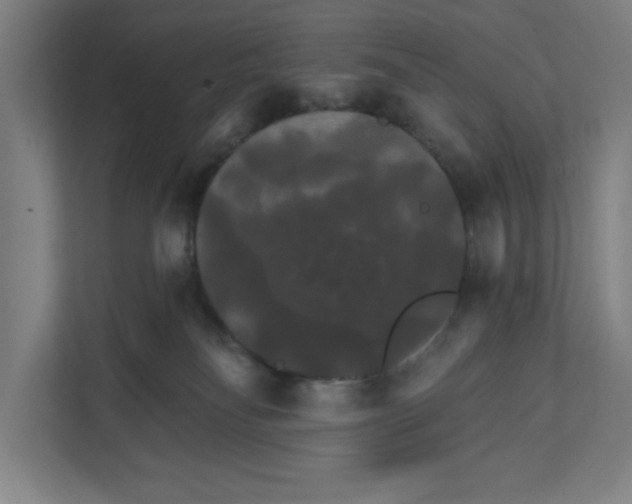X0000111820134200908201138