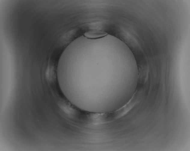 X0000111820136200908201138