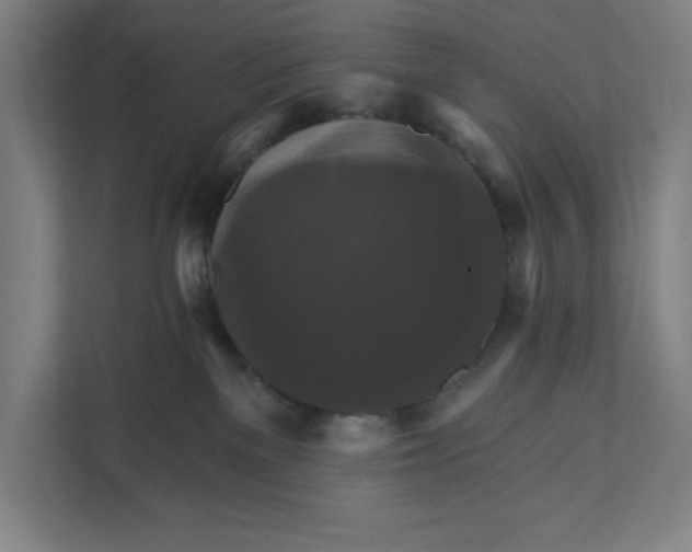 X0000111820137200908201138