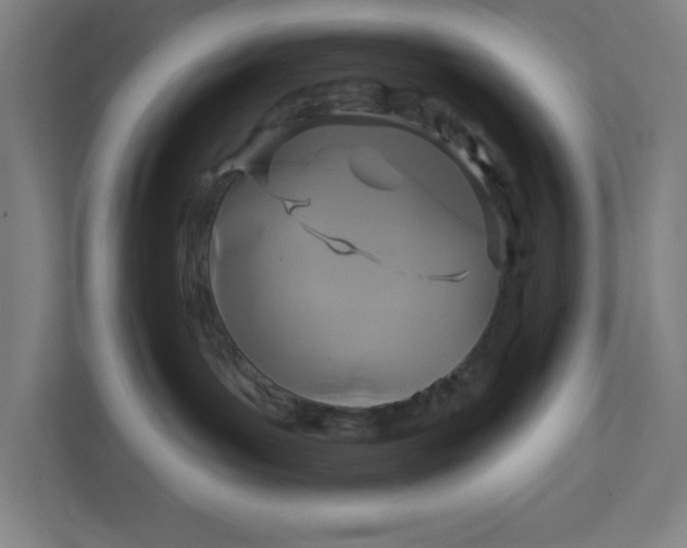 X0000111820143200908201138