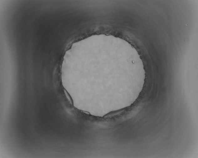 X0000111820144200908201138