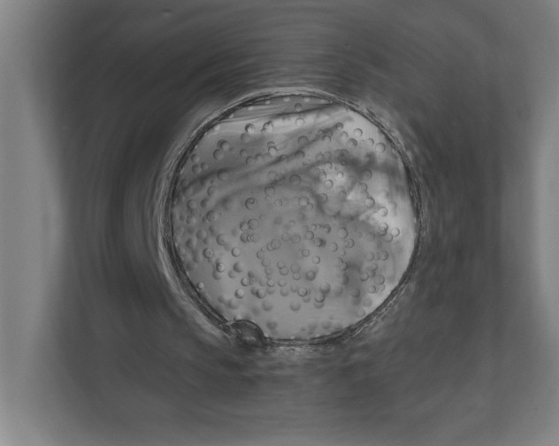 X0000111820145200908201137