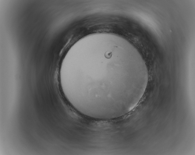 X0000111820146200908201137