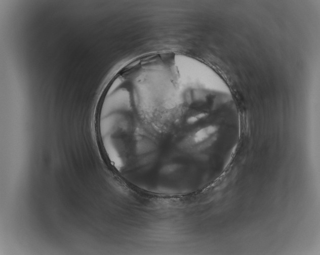 X0000111820147200908201137