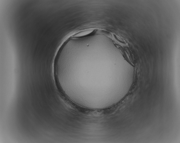 X0000111820148200908201137