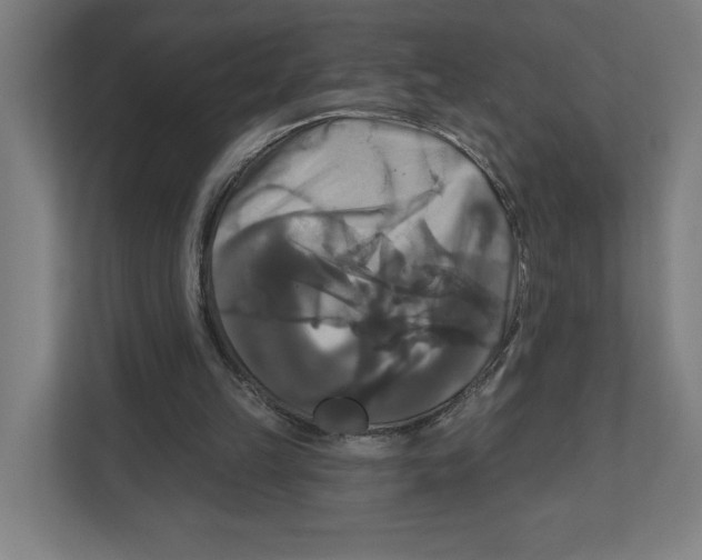 X0000111820149200908201137