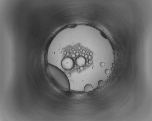 X0000111820155200908201138