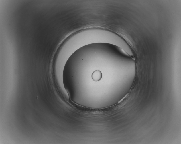 X0000111820156200908201138