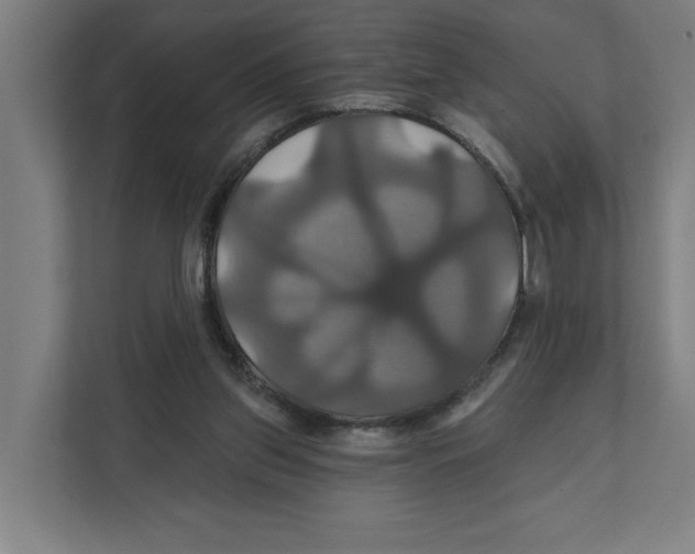 X0000111820157200908201138