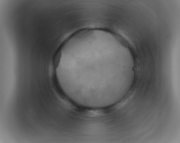 X0000111820164200908201138
