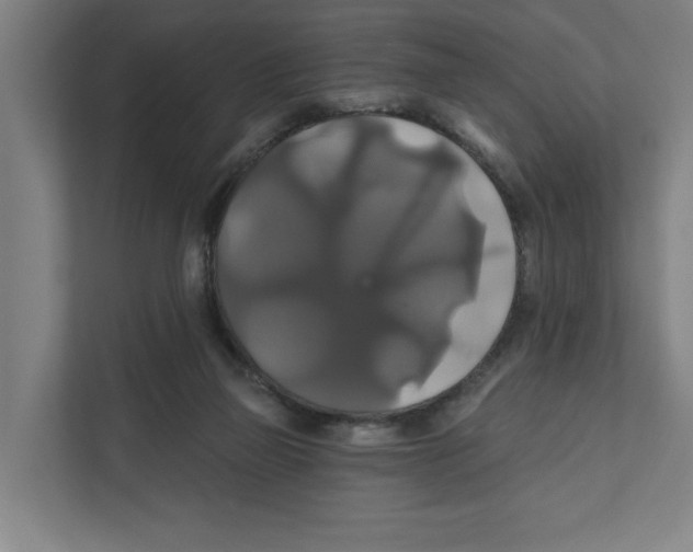 X0000111820165200908201138