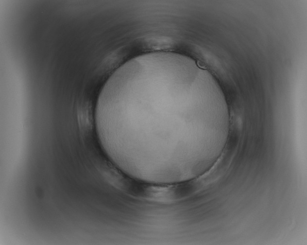 X0000111820170200908201138