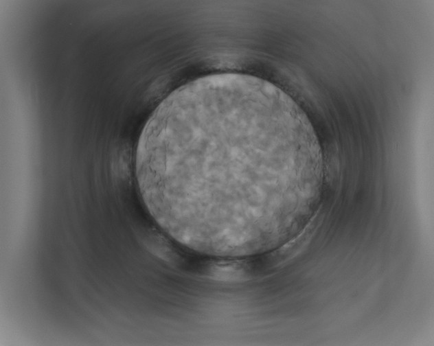 X0000111820175200908201138