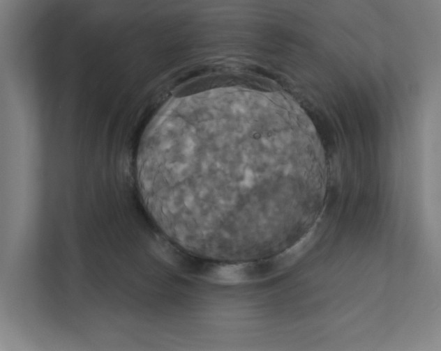 X0000111820178200908201138