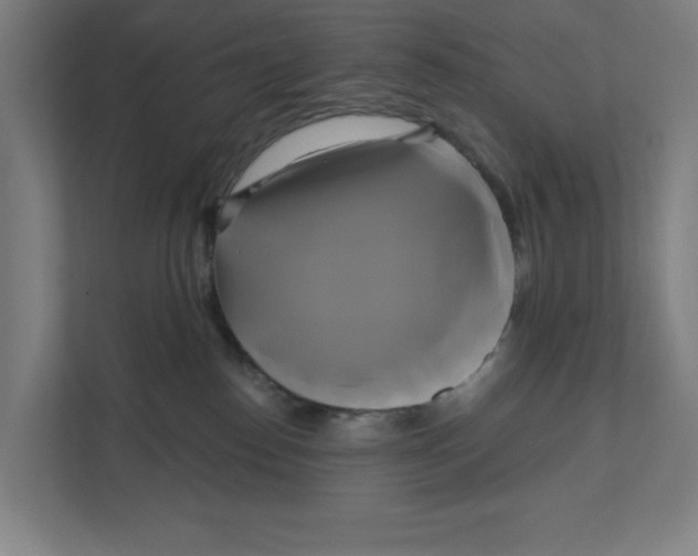X0000111820186200908201138