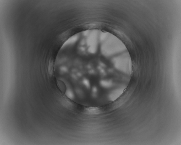 X0000111820189200908201138