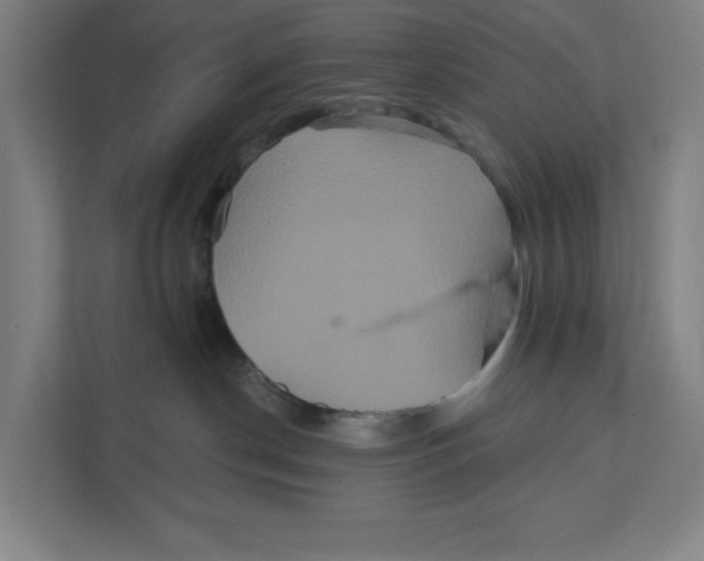 X0000111820190200908201138