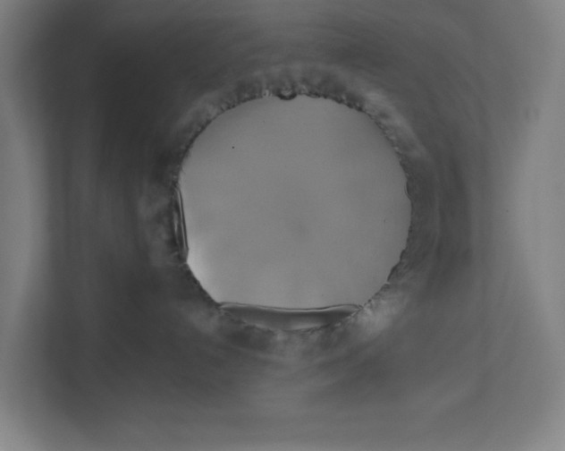 X0000111820192200908201138
