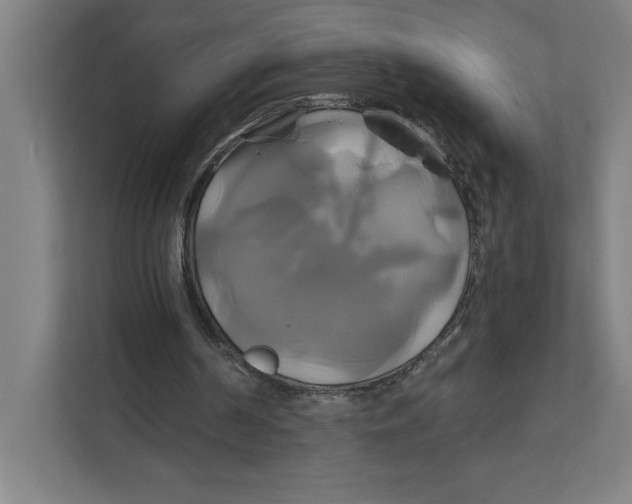 X0000111820194200908201137
