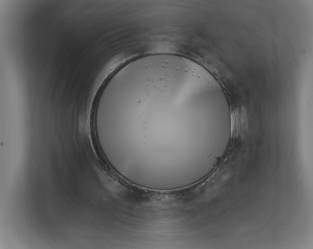 X0000111820195200908201137