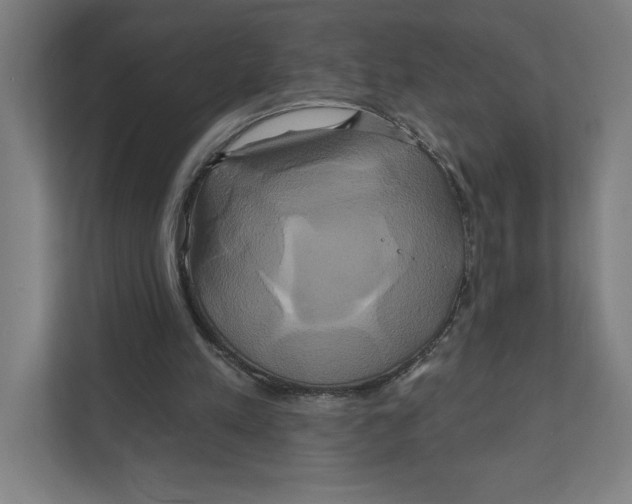 X0000111820197200908201137