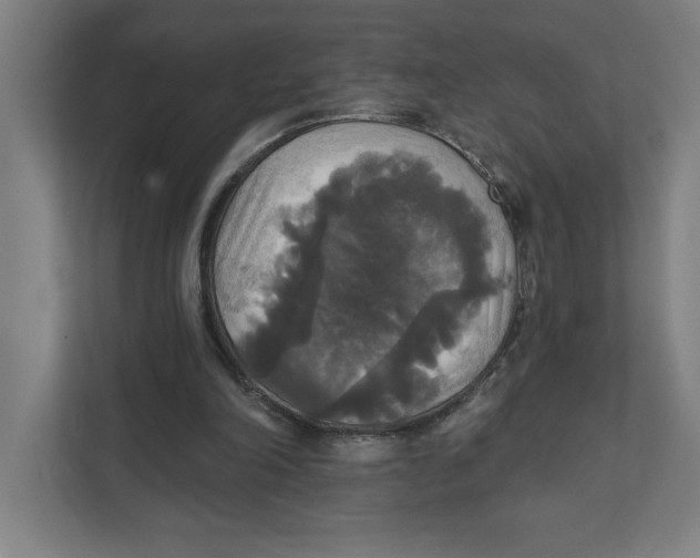 X0000111820198200908201137
