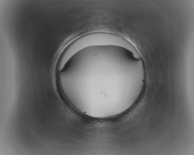 X0000111820199200908201137