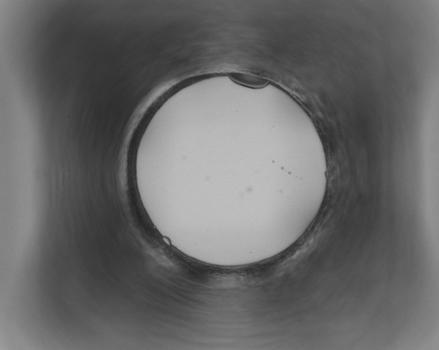 X0000111820200200908201137