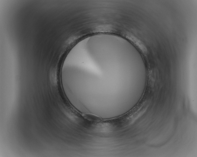 X0000111820203200908201137