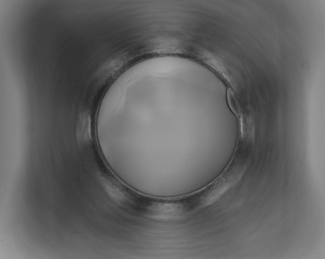 X0000111820205200908201137
