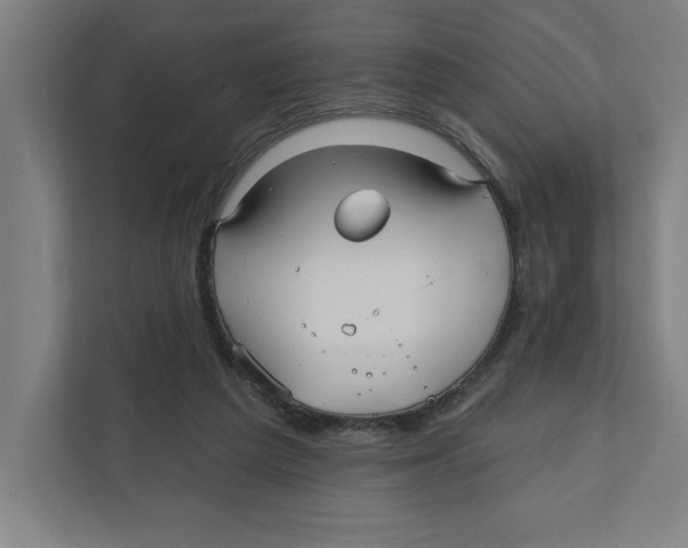 X0000111820209200908201137