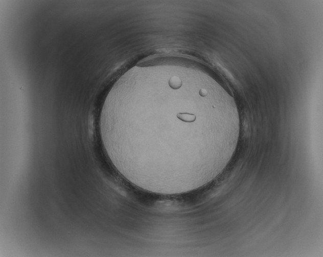 X0000111820211200908201137