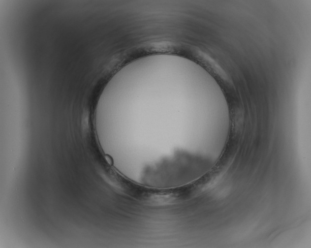 X0000111820213200908201137