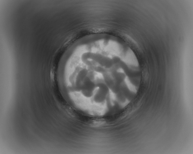 X0000111820214200908201137