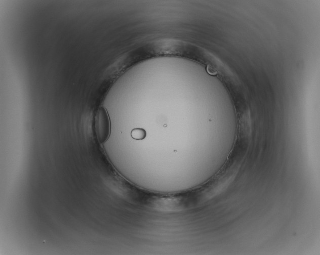 X0000111820217200908201137